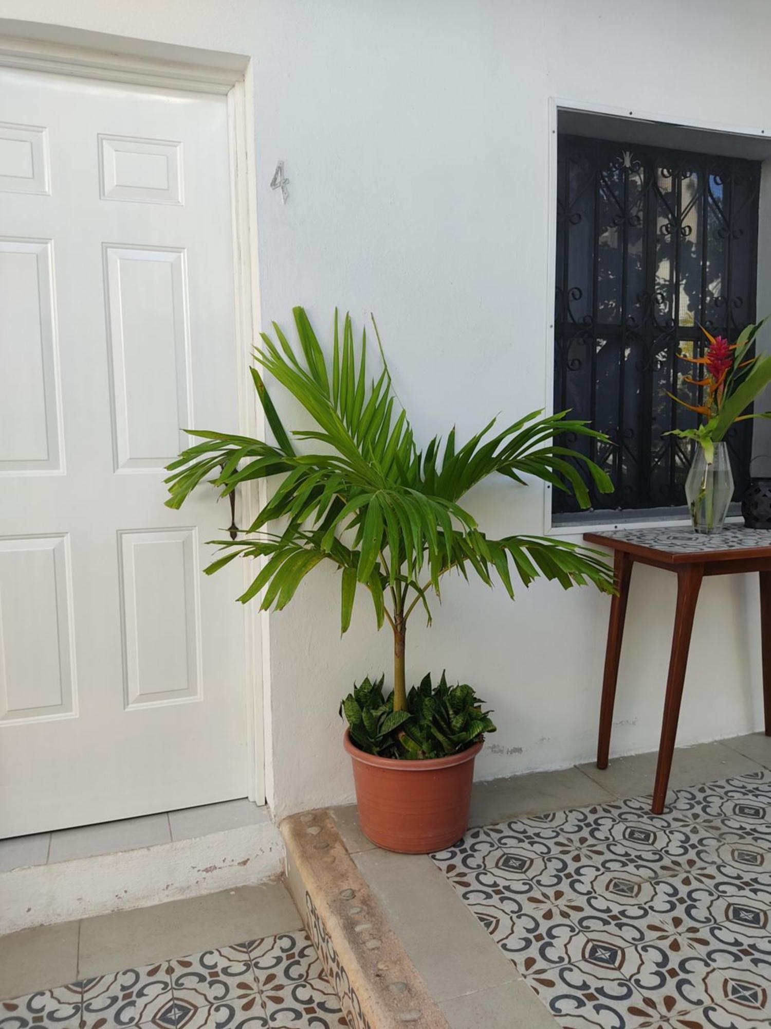 Casa Mercedes バリャドリッド 部屋 写真
